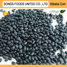 Export To Egypt Songs Foods Black Kidney Beans